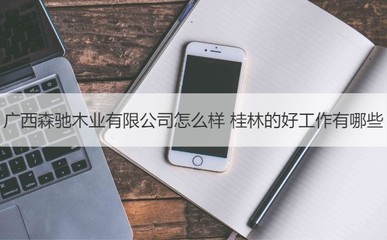 廣西森馳木業(yè)評價(jià)與桂林優(yōu)質(zhì)工作機(jī)會及工藝美術(shù)品收藏品零售行業(yè)前景